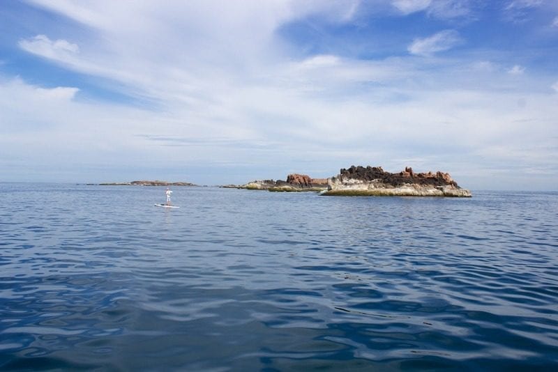surfing india tours