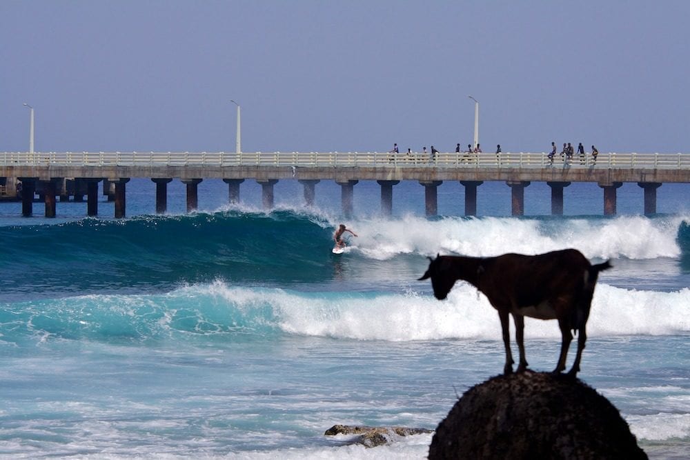 surfing_india_-_india_surf_tours-2-4325236