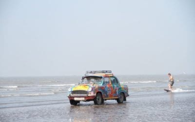 SURFING 28 STATES TEASERS