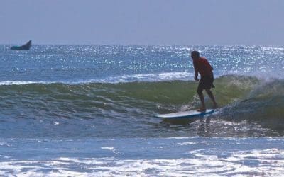 Surfing Swami: Celebrating 50 Years Of Surfing – 1963-2013