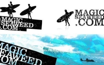 Waves Report from Magicseaweed website